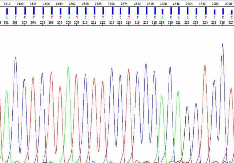 Sanger sequencing