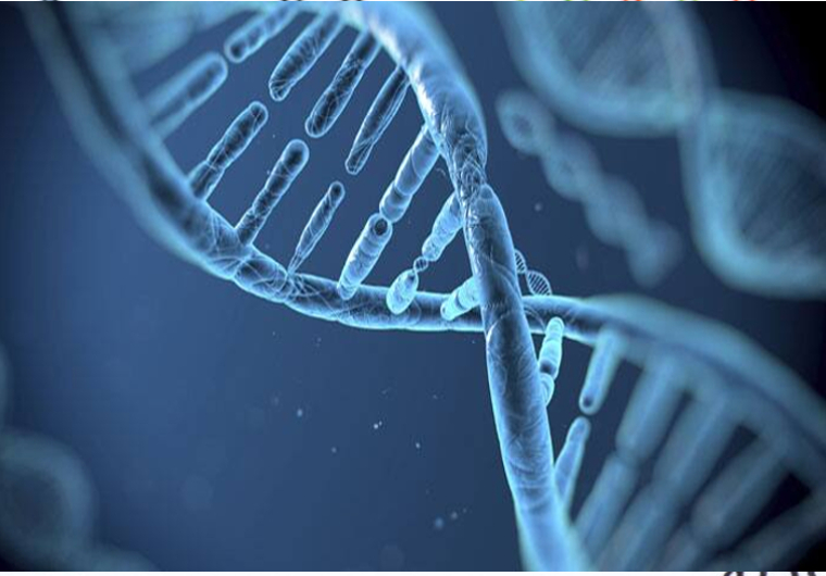 Evolutionary Genetics