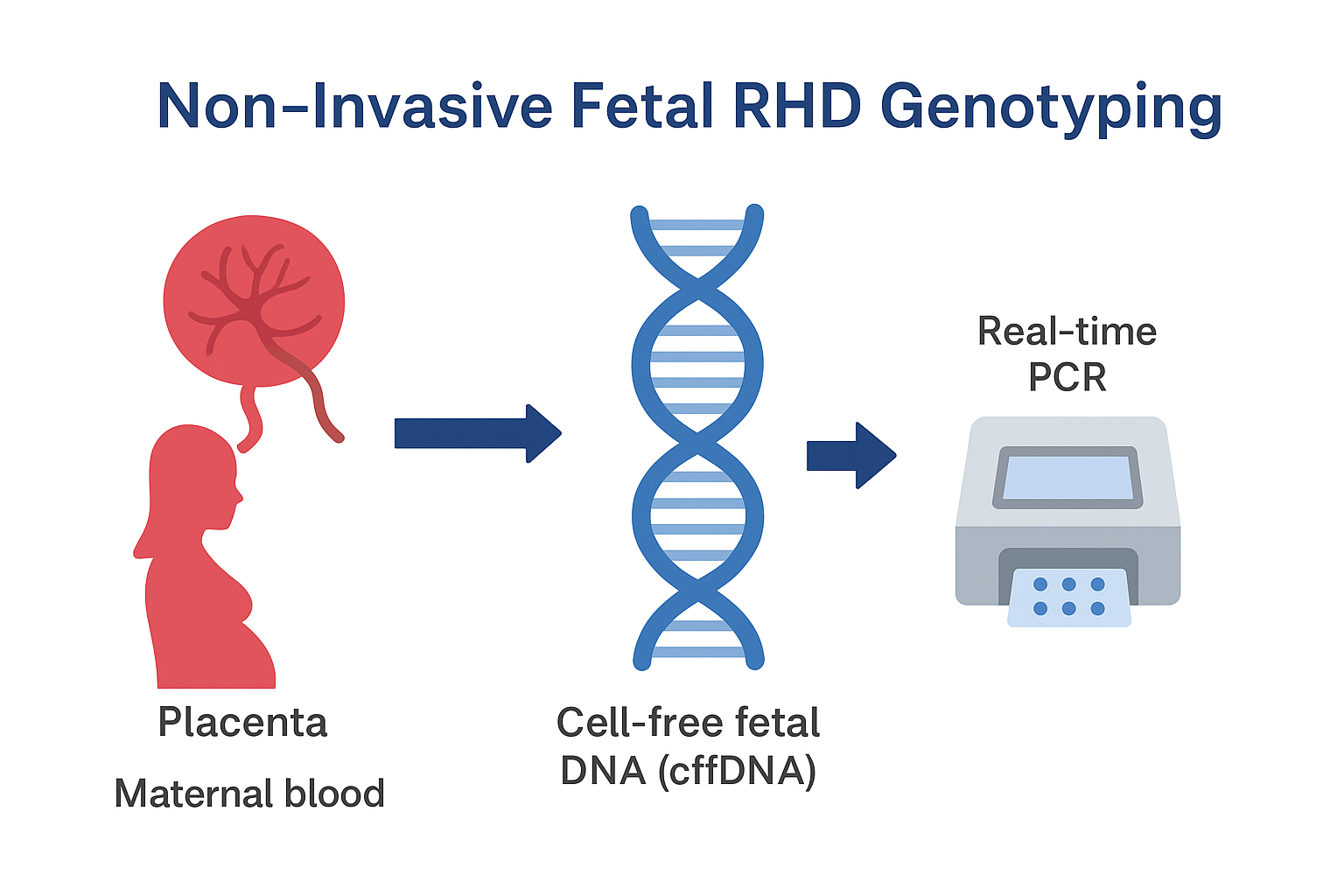 RHD workflow diagram